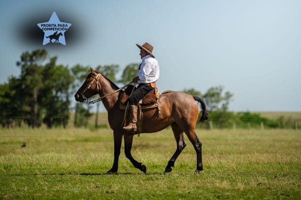 Lote ADIVINA LOS CERROS