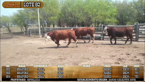 Lote LOTE 82- POR PANTALLA