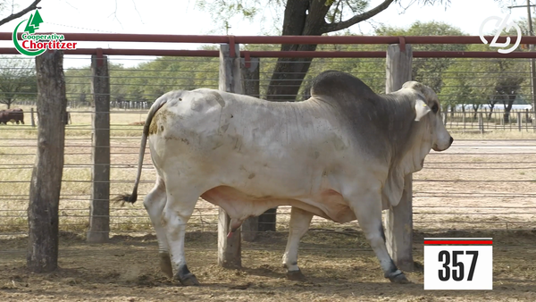 Lote Brahman