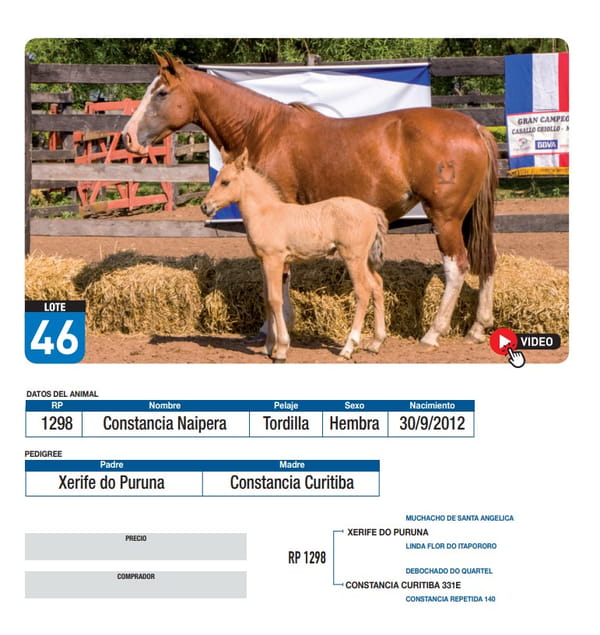 Lote Constancia Naipera