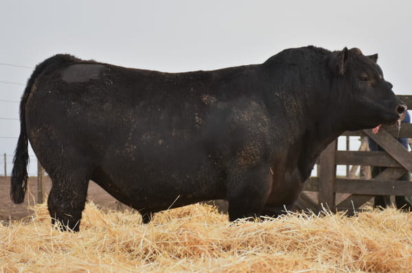Lote RINCON POTENTE MIX 2780 - RINCON  TRANSITADO EURO 158