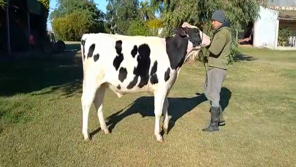 Lote La Magdalena - Toro RP 8295