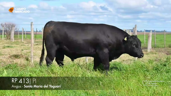 Lote RP 413