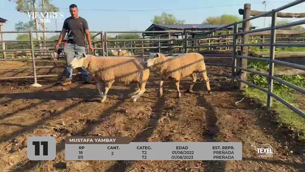 Lote LOTE 11