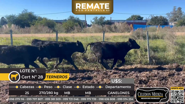 Lote 25 Terneros a 4 km de Los Cerrillos,Canelones