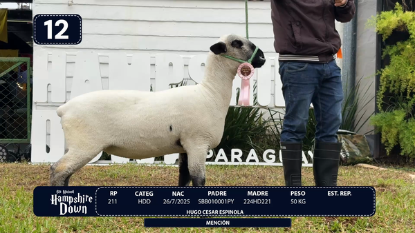 Lote LOTE 12