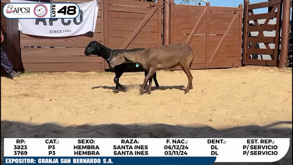 Lote LOTE 48