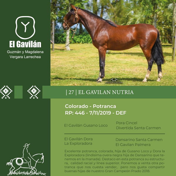 Lote El Gavilán Nutria (RP 446) Cabaña "El Gavilán"