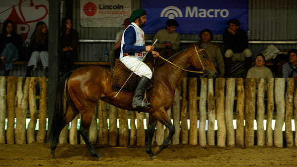 Lote AYRES DEL POLO LA PAPU