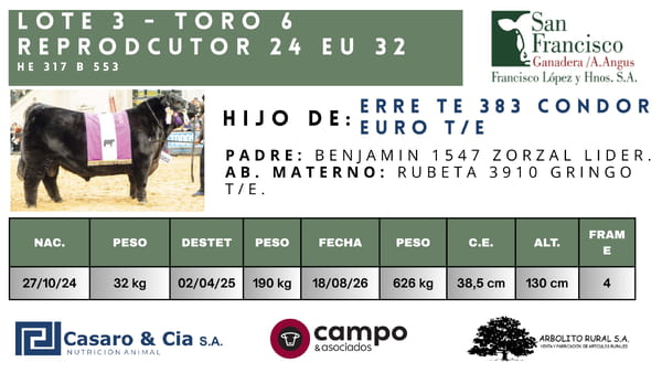 Lote TOROS  San Francisco