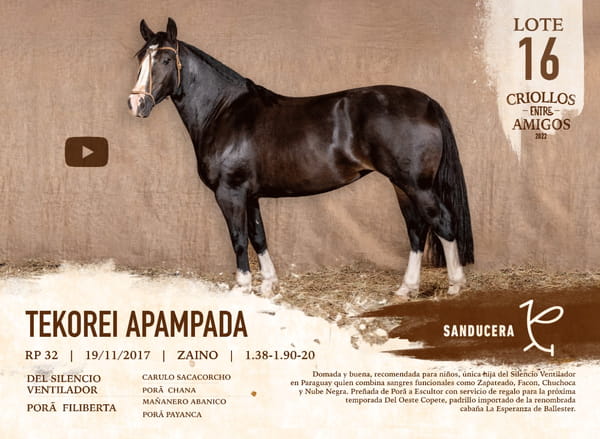 Lote TEKOREI APAMPADA RP 32