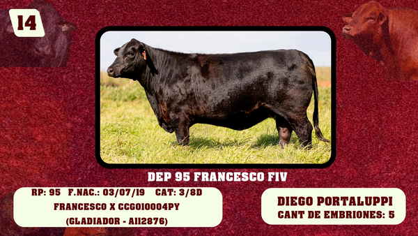 Lote LOTE 14