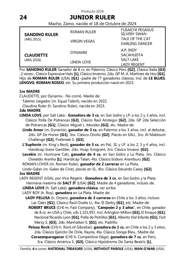 Lote JUNIOR RULER (SANDINO RULER -  CLAUDETTE)