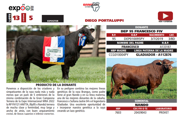 Lote LOTE 13