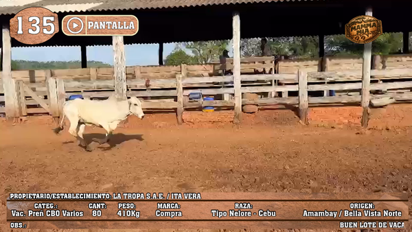 Lote LOTE 135 - PANTALLA