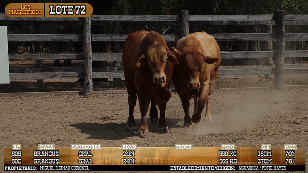 Lote LOTE 72 - PANTALLA
