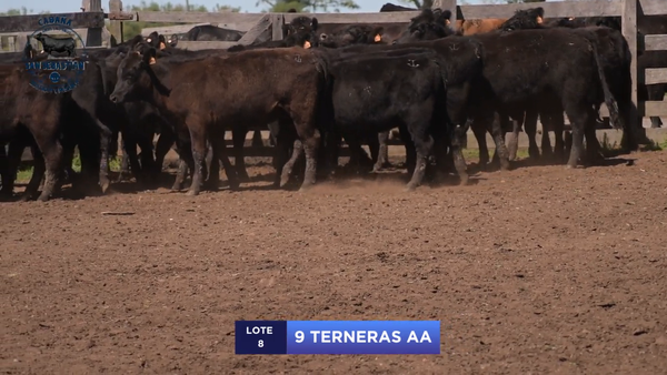 Lote Lote 8 - San Sebastian