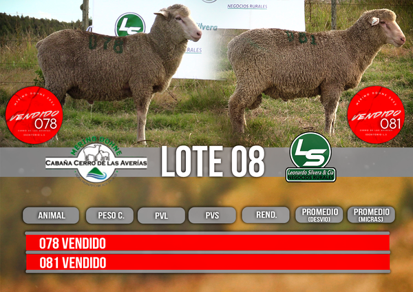 Lote LOTE 8