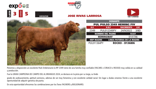 Lote LOTE 3