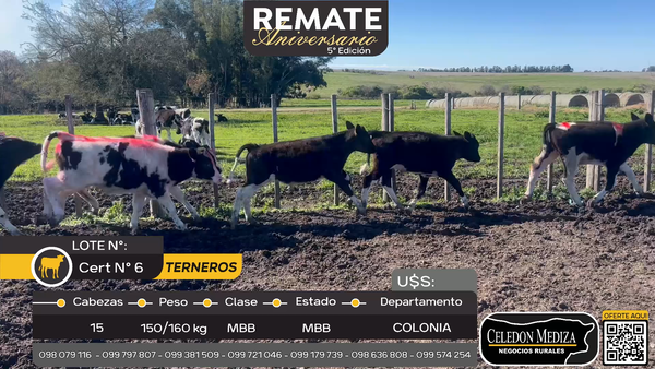 Lote 15 Terneros en El Cuadro, Colonia
