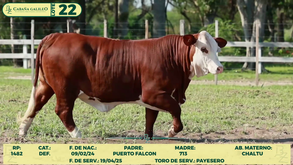 Lote LOTE 22- SALE A VENTA EL 50%