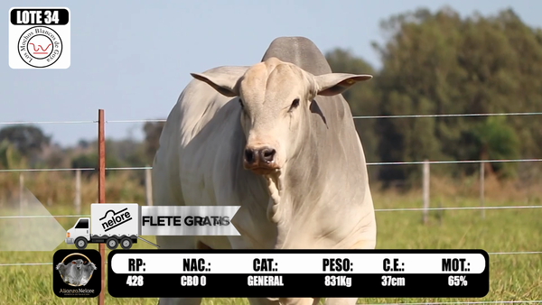 Lote LOTE 34  RP 428