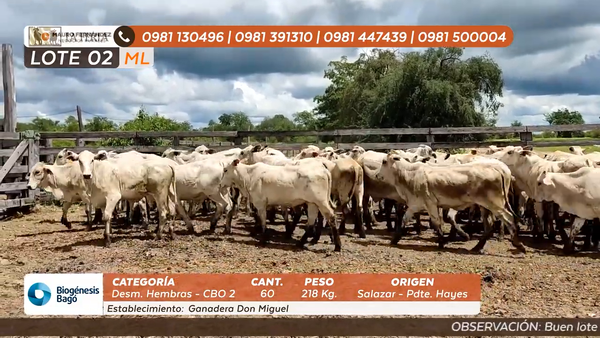 Lote ESTANCIA DON MIGUEL