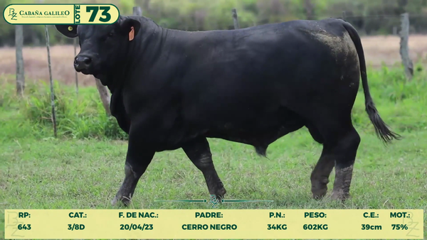 Lote LOTE 73