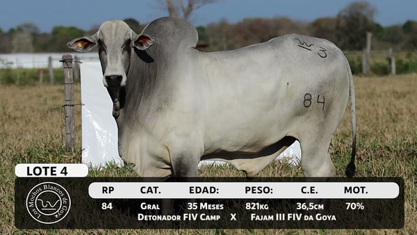 Lote LOTE 4