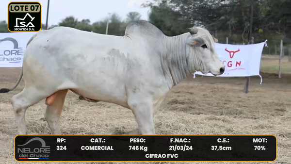 Lote LOTE 7