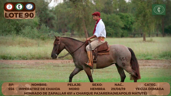 Lote LOTE 90