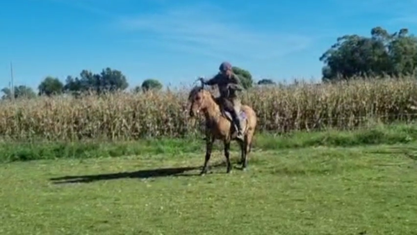 Lote Yegua, San José