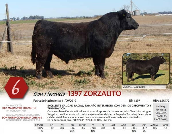 Lote TORO