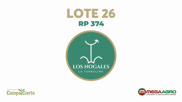 Lote LOS NOGALES