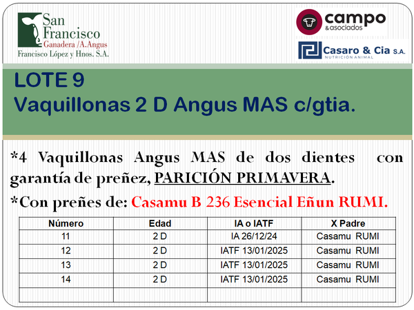 Lote 4 Vaquillonas Angus MaS con garantía de preñez, al parir. San Francisco