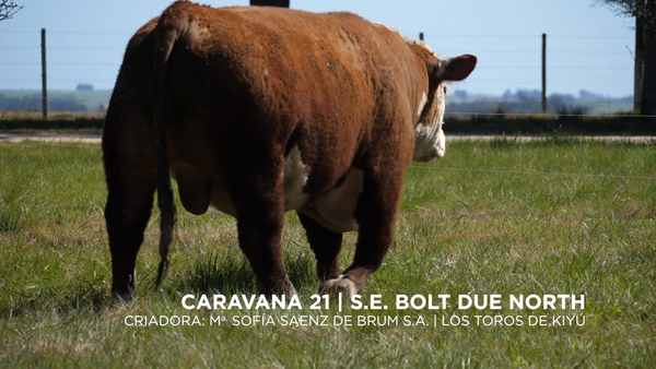 Lote S.E. BOLT DUE NORTH