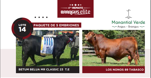 Lote Lote 5 embrioenes