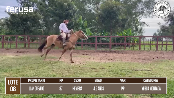 Lote LOTE 8 DE CAMPO