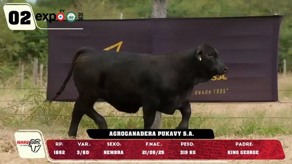 Lote LOTE 2