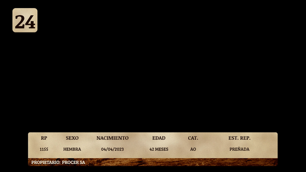 Lote LOTE 24