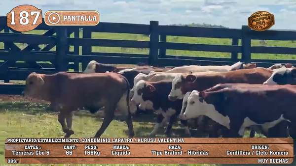 Lote LOTE 187 - PANTALLA