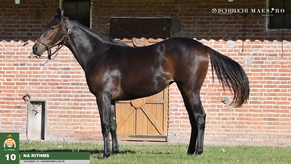 Lote Na Rithms