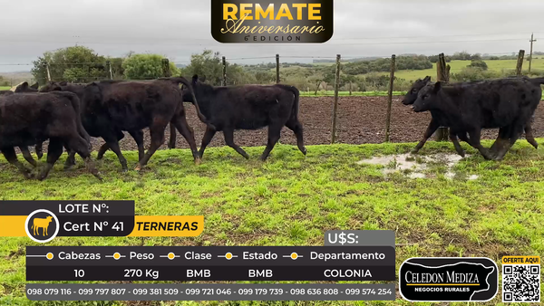 Lote 10 Terneras en Colonia