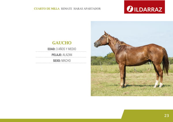 Lote GAUCHO