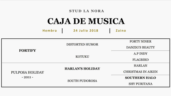 Lote CAJA DE MUSICA (FORTIFY - PULPOSA HOLIDAY)