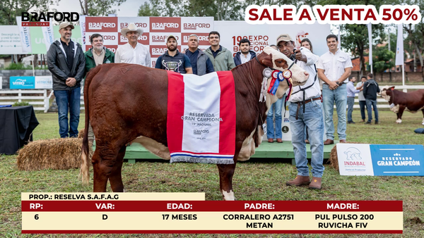 Lote LOTE DE BOZAL - VENTA DEL 50%