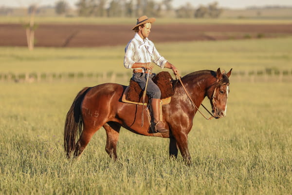 Lote DEL SILENCIO BARBARA