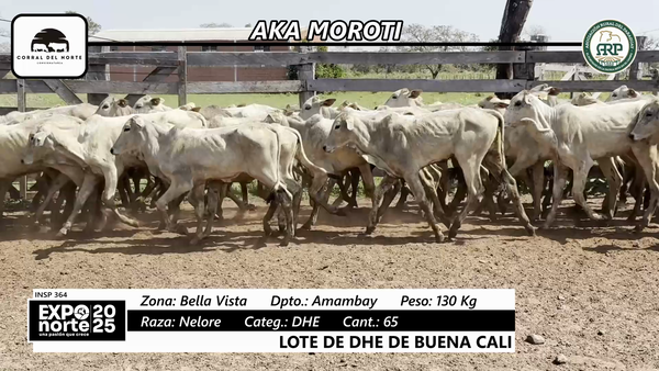 Lote DHE