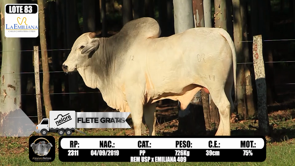 Lote LOTE  83 RP K2311