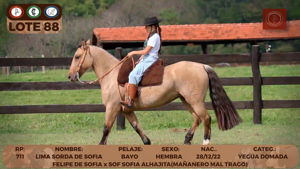 Lote LOTE 88